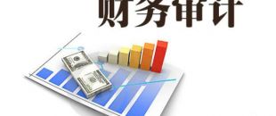 企業(yè)為什么要做財(cái)務(wù)審計(jì)？