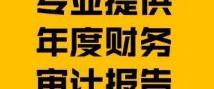 財(cái)務(wù)報(bào)表審計(jì)報(bào)告的費(fèi)用是多少？